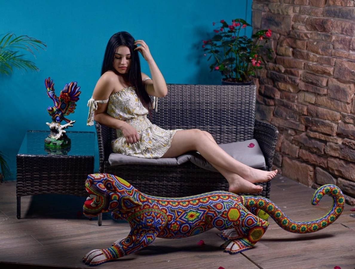 Hotel Boutique Casa Mariano Tepic Ngoại thất bức ảnh